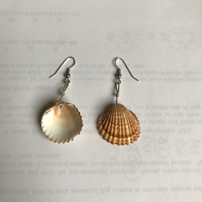 clamshell earrings